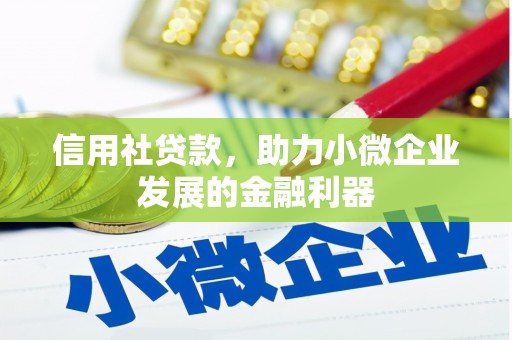 滨城信用社贷款，助力小微企业发展的金融利器