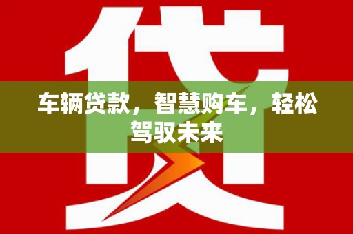 滨城车辆贷款，智慧购车，轻松驾驭未来