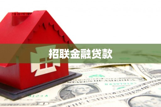 滨城招联金融贷款