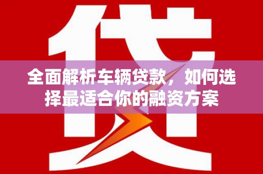 滨城全面解析车辆贷款，如何选择最适合你的融资方案