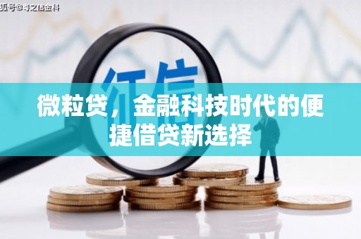 滨城微粒贷，金融科技时代的便捷借贷新选择