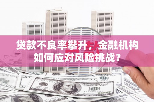 滨城贷款不良率攀升，金融机构如何应对风险挑战？