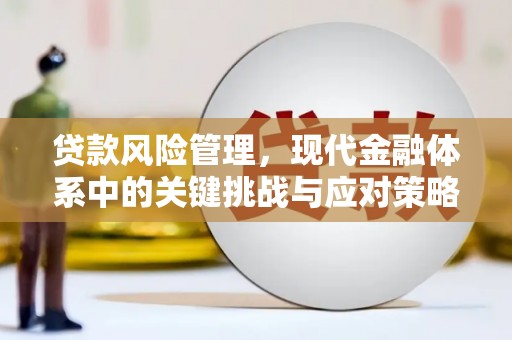 滨城贷款风险管理，现代金融体系中的关键挑战与应对策略