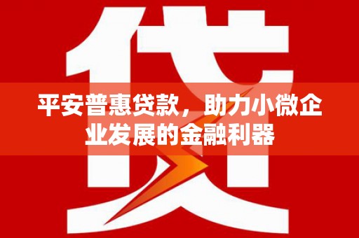 滨城平安普惠贷款，助力小微企业发展的金融利器