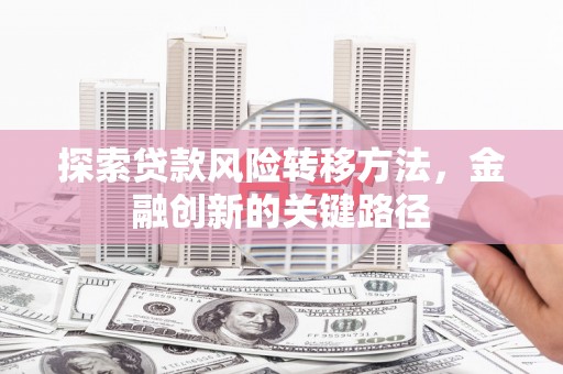 滨城探索贷款风险转移方法，金融创新的关键路径