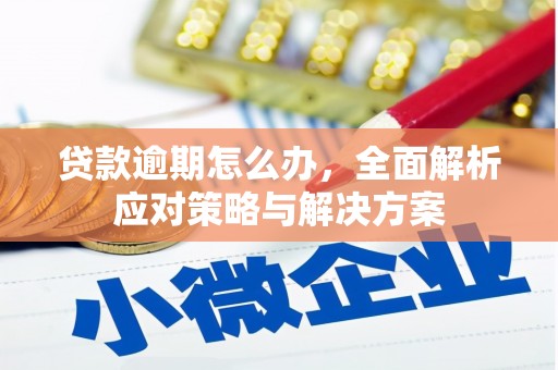 滨城贷款逾期怎么办，全面解析应对策略与解决方案