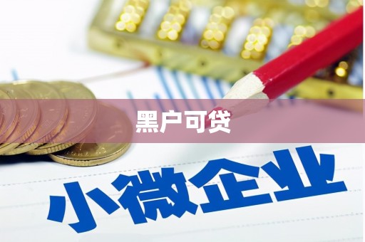 滨城黑户可贷
