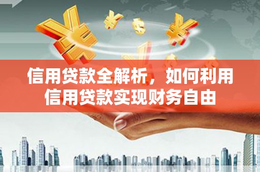 滨城信用贷款全解析，如何利用信用贷款实现财务自由