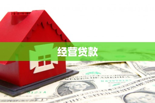 滨城经营贷款