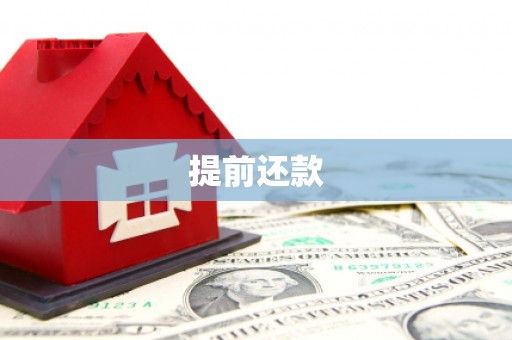 滨城提前还款